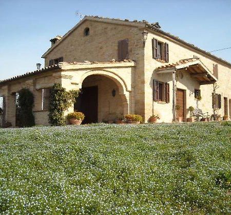 Cascinale La Mimosa Bed & Breakfast Cupramontana Dış mekan fotoğraf