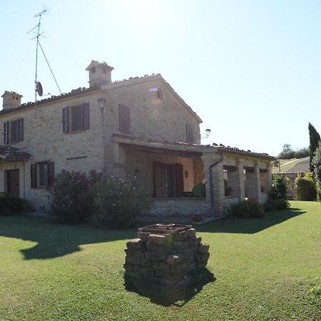 Cascinale La Mimosa Bed & Breakfast Cupramontana Dış mekan fotoğraf