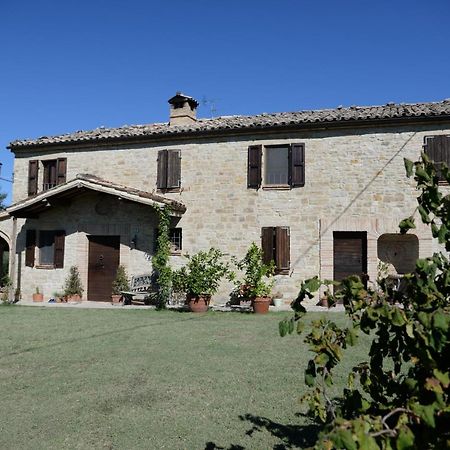 Cascinale La Mimosa Bed & Breakfast Cupramontana Dış mekan fotoğraf