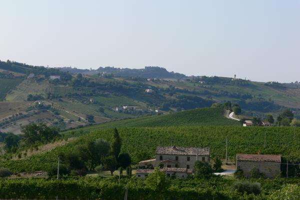 Cascinale La Mimosa Bed & Breakfast Cupramontana Dış mekan fotoğraf