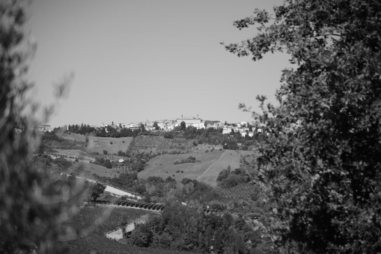 Cascinale La Mimosa Bed & Breakfast Cupramontana Dış mekan fotoğraf