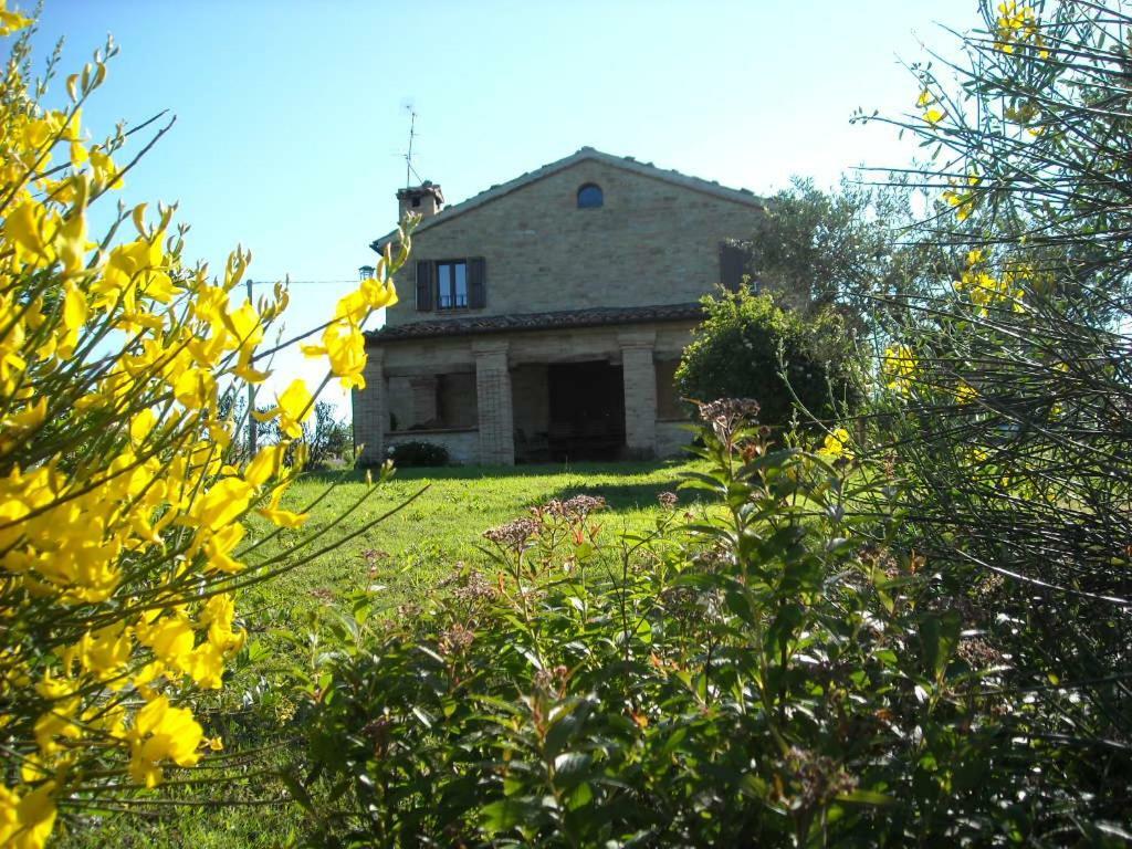 Cascinale La Mimosa Bed & Breakfast Cupramontana Dış mekan fotoğraf