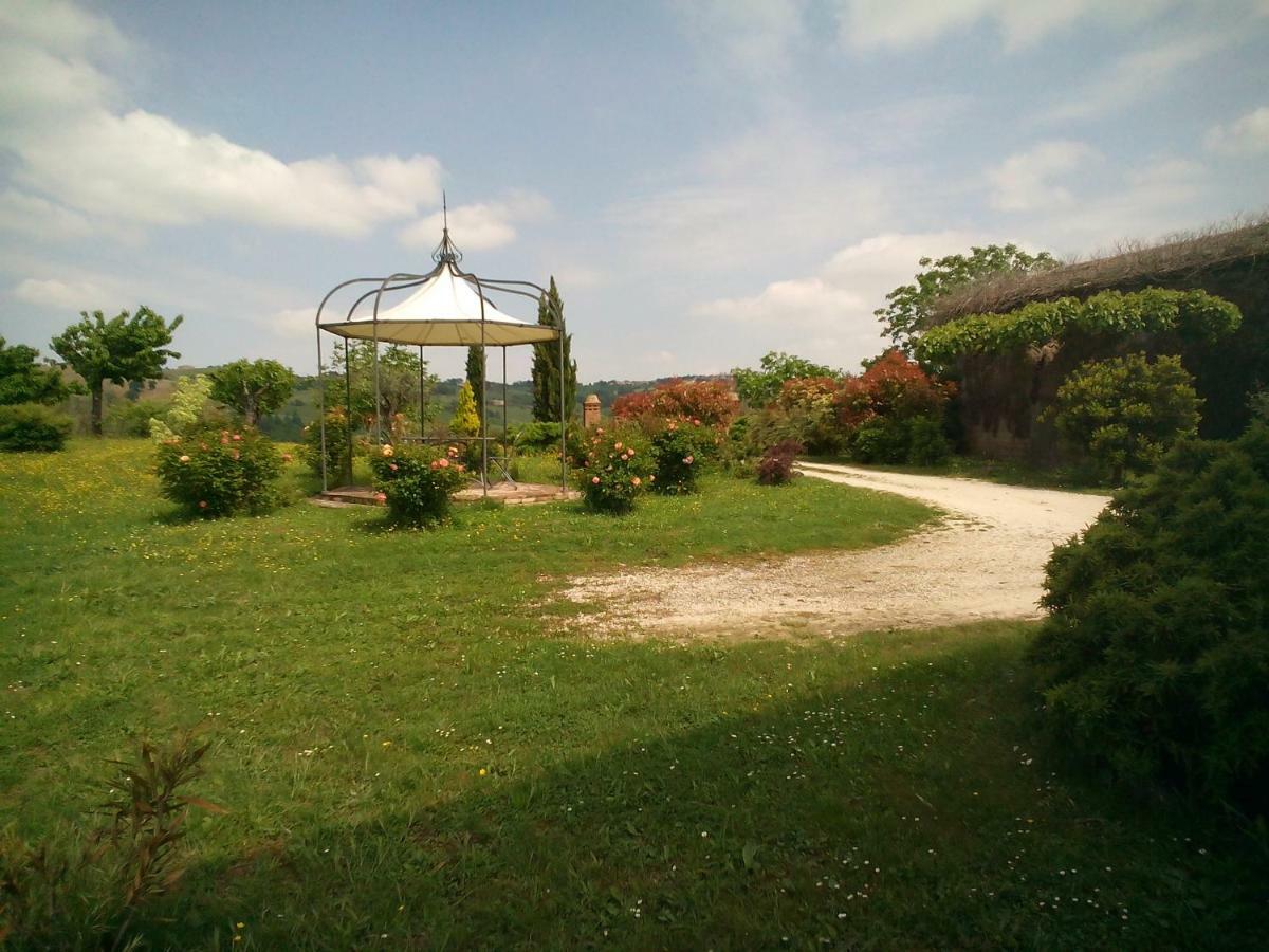 Cascinale La Mimosa Bed & Breakfast Cupramontana Dış mekan fotoğraf